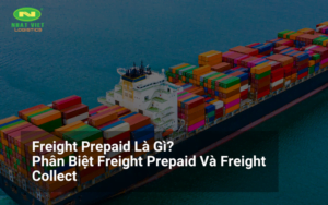 Khái niệm Freight Prepaid