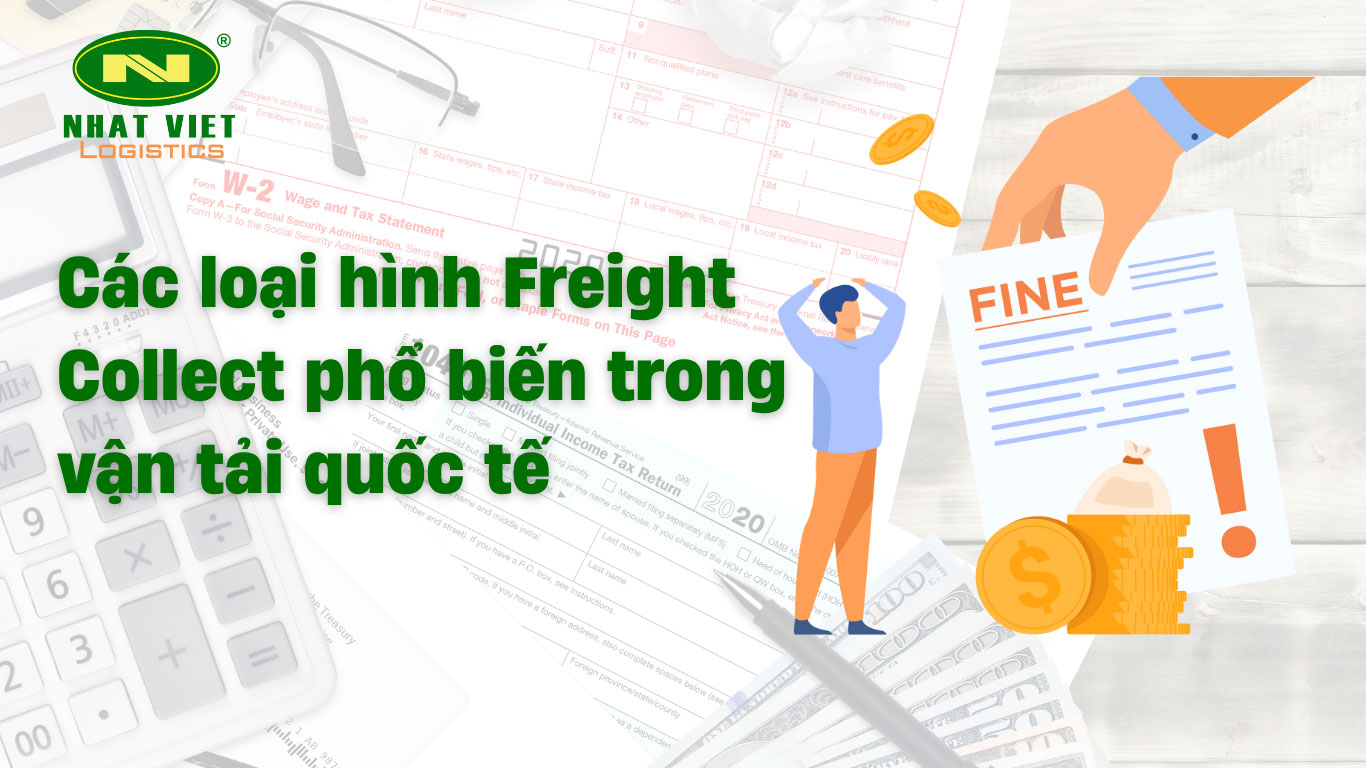 Các loại hình freight collect phổ biển