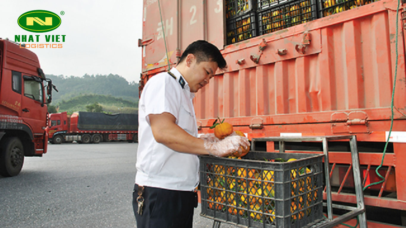 Định nghĩa kiểm dịch