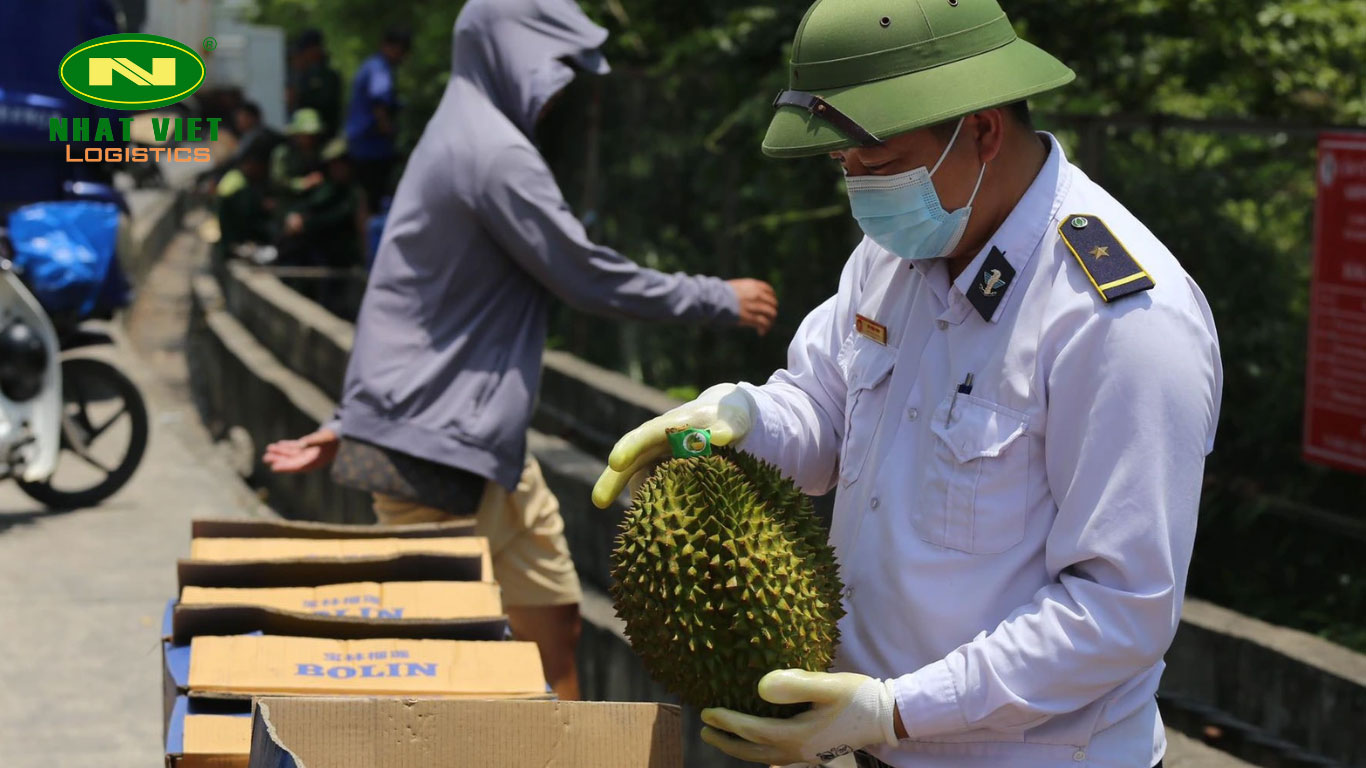 Kiểm dịch thực vật