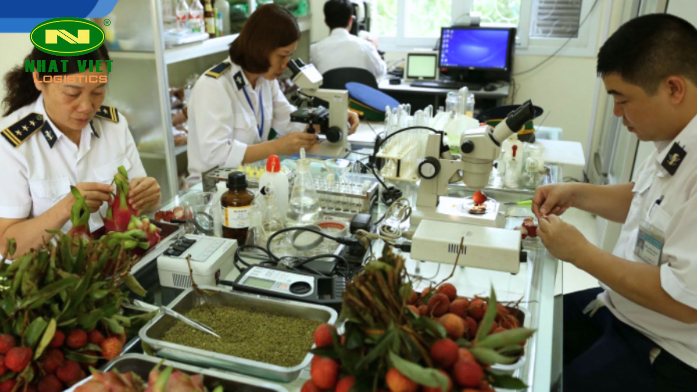 Ý nghĩa của công tác kiểm dịch